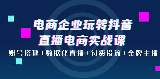 电商企业玩转抖音直播电商实战课：账号搭建+数据化直播+付费投流+金牌主播网赚项目-副业赚钱-互联网创业-资源整合南风学院