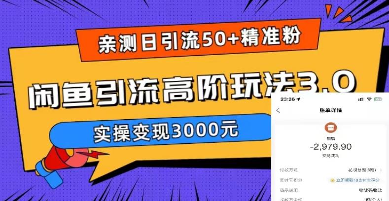 亲测日引50+精准粉，闲鱼引流高阶玩法3.0，实操变现3000元【揭秘】网赚项目-副业赚钱-互联网创业-资源整合南风学院