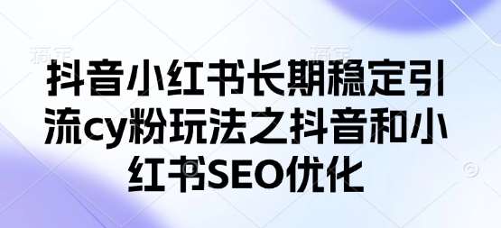 抖音小红书长期稳定引流cy粉玩法之抖音和小红书SEO优化网赚项目-副业赚钱-互联网创业-资源整合南风学院