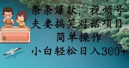 条条爆款，视频号夫妻搞笑对话项目，简单操作，小白轻松日入3张+网赚项目-副业赚钱-互联网创业-资源整合南风学院