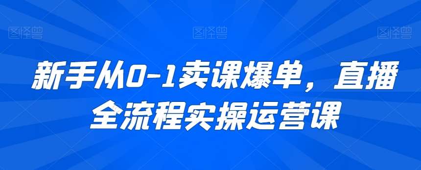 新手从0-1卖课爆单，直播全流程实操运营课网赚项目-副业赚钱-互联网创业-资源整合南风学院