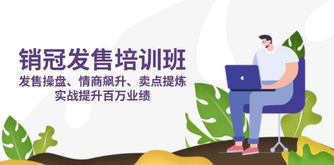 （14203期）销冠 发售培训班：发售 操盘+情商 飙升+卖点 提炼，实战提升百万业绩网赚项目-副业赚钱-互联网创业-资源整合南风学院
