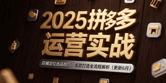（15235期）2025拼多多运营实战：店铺定位选品技巧，爆款打造全流程解析（更新6月）网赚项目-副业赚钱-互联网创业-资源整合南风学院