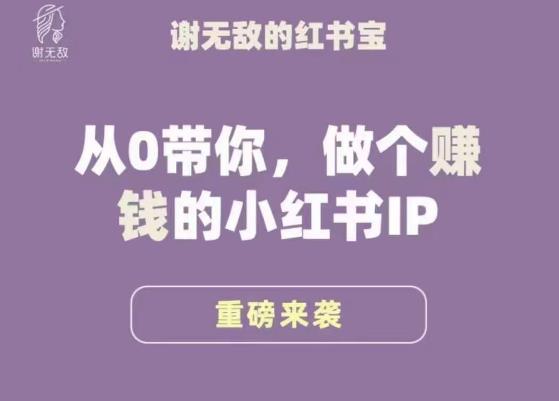 谢无敌·小红书运营大宝典，从0带你做个赚钱的小红书IP网赚项目-副业赚钱-互联网创业-资源整合南风学院