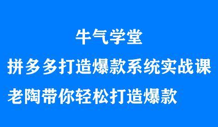 牛气学堂拼多多打造爆款系统实战课，老陶带你轻松打造爆款网赚项目-副业赚钱-互联网创业-资源整合南风学院