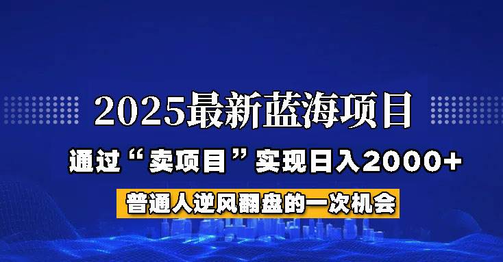 2025年蓝海项目，如何通过“网创项目”日入2000+网赚项目-副业赚钱-互联网创业-资源整合南风学院