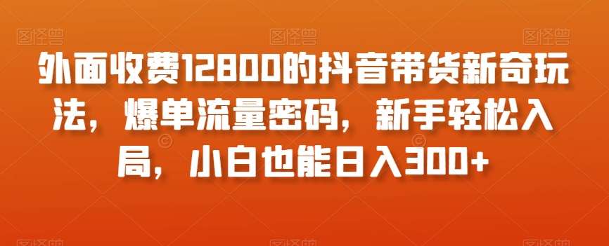 外面收费12800的抖音带货新奇玩法，爆单流量密码，新手轻松入局，小白也能日入300+【揭秘】网赚项目-副业赚钱-互联网创业-资源整合南风学院