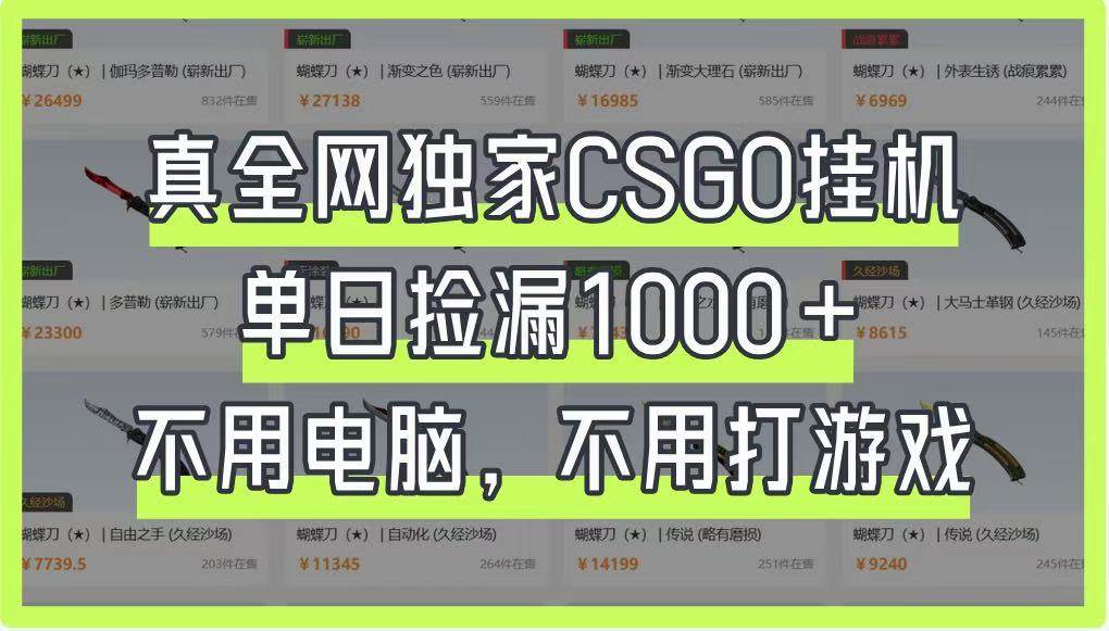真全网独家CSGO挂机，单日捡漏1000+，不用电脑，不用养号网赚项目-副业赚钱-互联网创业-资源整合南风学院