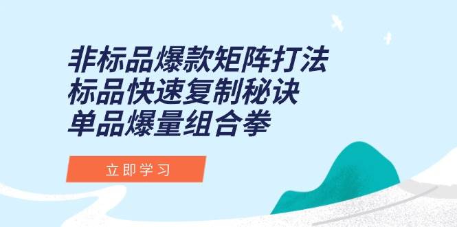 （15068期）非标品爆款矩阵打法，标品快速复制秘诀，单品爆量组合拳网赚项目-副业赚钱-互联网创业-资源整合南风学院