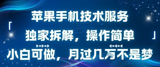 苹果手机技术服务，独家拆解，操作简单，小白可做，月过1W不是梦网赚项目-副业赚钱-互联网创业-资源整合南风学院