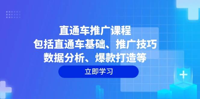 （14001期）直通车推广课程：包括直通车基础、推广技巧、数据分析、爆款打造等网赚项目-副业赚钱-互联网创业-资源整合南风学院