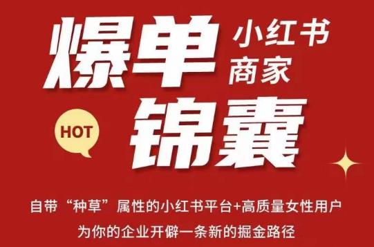 无畏·小红书商家爆单锦囊，掌握小红书各大规则，快速精准抢占行业和市场网赚项目-副业赚钱-互联网创业-资源整合南风学院