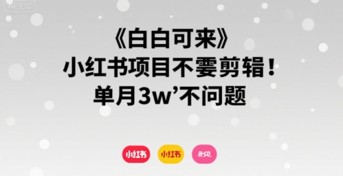 小白可来 小红书项目不需要剪辑 单月3w不是问题网赚项目-副业赚钱-互联网创业-资源整合南风学院