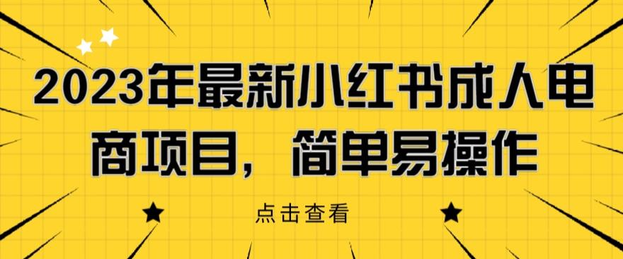 2023年最新小红书成人电商项目，简单易操作【详细教程】【揭秘】网赚项目-副业赚钱-互联网创业-资源整合南风学院