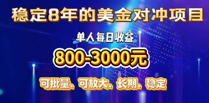 （15782期）稳定8年的美金对冲创业项目，单人每日收益800-3000，小众暴力项目网赚项目-副业赚钱-互联网创业-资源整合南风学院