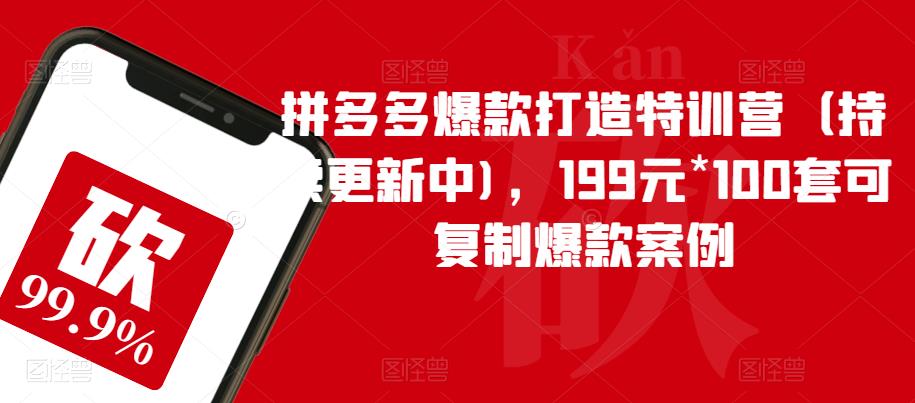 拼多多爆款打造特训营（持续更新中)，199元*100套可复制爆款案例网赚项目-副业赚钱-互联网创业-资源整合南风学院