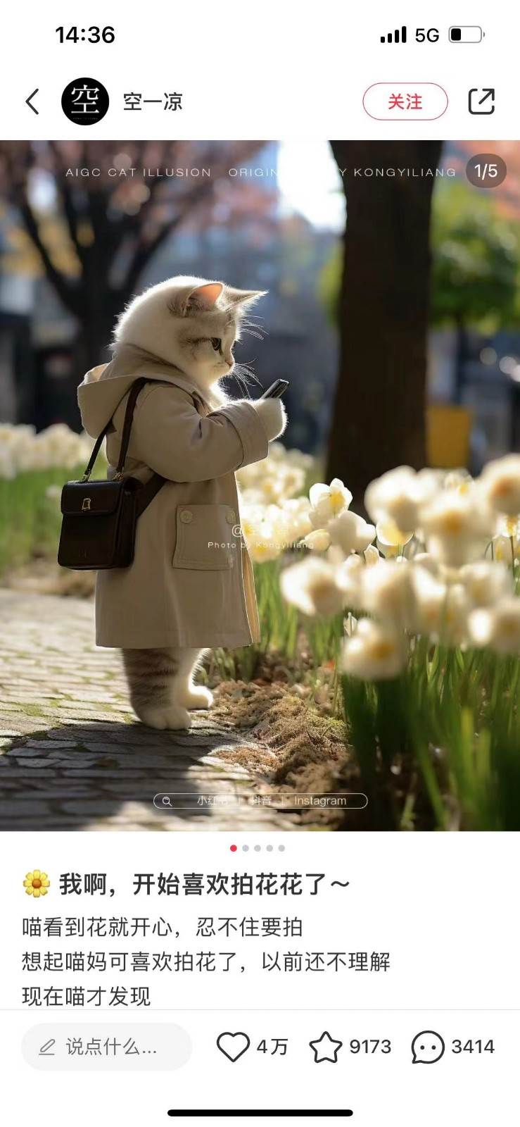 图片[2]-AI猫咪穿搭保姆级教程，起号容易，变现途径多-讯领网创