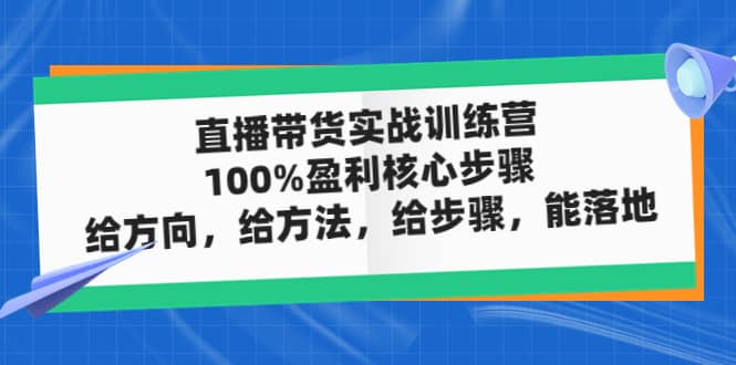 直播带货实战训练营：100%盈利核心步骤，给方向，给方法，给步骤，能落地网赚项目-副业赚钱-互联网创业-资源整合南风学院