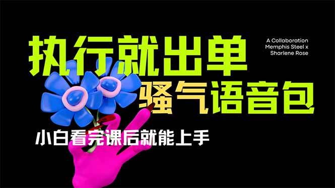 （14170期）爆火全网的开车导航骚气语音包,只要执行就出单，小白看完课程就能实操…网赚项目-副业赚钱-互联网创业-资源整合南风学院