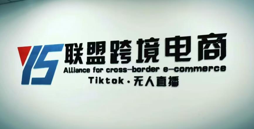 YS联盟·Tiktok无人直播，不出镜不剪辑不拍摄不发货无售后的跨境短视频躺赚玩法网赚项目-副业赚钱-互联网创业-资源整合南风学院