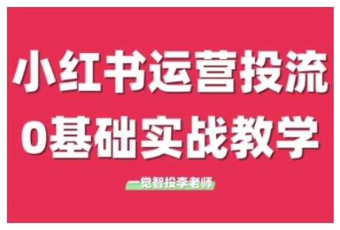 小红书运营投流，小红书广告投放从0到1的实战课，学完即可开始投放网赚项目-副业赚钱-互联网创业-资源整合南风学院