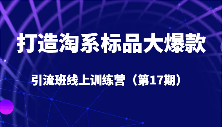 打造淘系标品大爆款引流班线上训练营5天直播授课+1个月答疑网赚项目-副业赚钱-互联网创业-资源整合南风学院