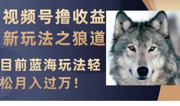 视频号撸收益新玩法之狼道，目前蓝海玩法，轻松月入过万【揭秘】网赚项目-副业赚钱-互联网创业-资源整合南风学院