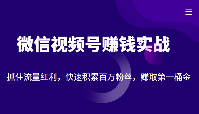 微信视频号赚钱实战：抓住流量红利，快速积累百万粉丝，赚取你的第一桶金网赚项目-副业赚钱-互联网创业-资源整合南风学院