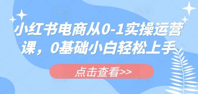 小红书电商从0-1实操运营课，0基础小白轻松上手网赚项目-副业赚钱-互联网创业-资源整合南风学院
