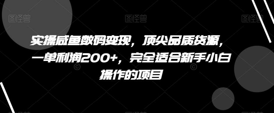 实操咸鱼数码变现，顶尖品质货源，一单利润200+，完全适合新手小白操作的项目【揭秘】网赚项目-副业赚钱-互联网创业-资源整合南风学院