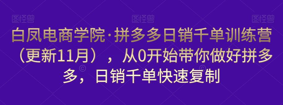 白凤电商学院·拼多多日销千单训练营，从0开始带你做好拼多多，日销千单快速复制（更新知2023年3月）网赚项目-副业赚钱-互联网创业-资源整合南风学院