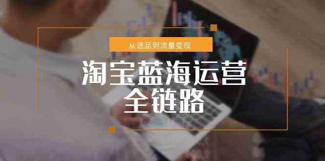 淘宝蓝海运营全链路，从选品到流量变现，小类目突围完整方案网赚项目-副业赚钱-互联网创业-资源整合南风学院