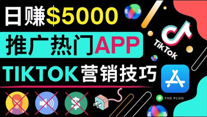 无需露脸，无需录音，无需投资，TIKTOK上传短视频，最高日入5000美元网赚项目-副业赚钱-互联网创业-资源整合南风学院