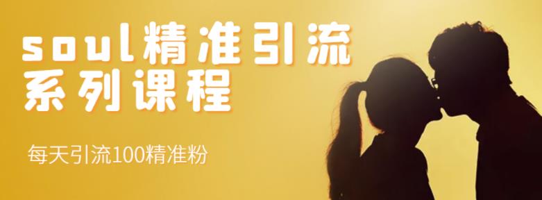 soul精准引流系列课程，每天引流100精准粉网赚项目-副业赚钱-互联网创业-资源整合南风学院