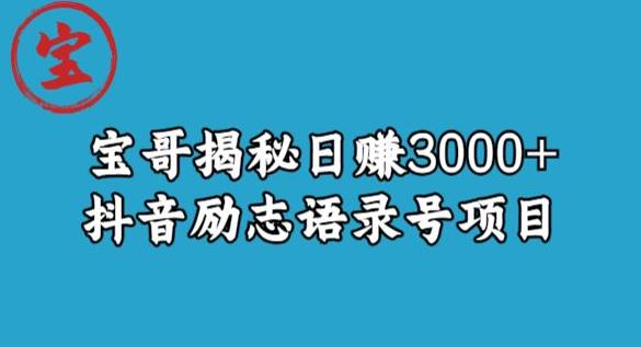 宝哥揭秘日赚3000+抖音励志语录号短视频变现项目网赚项目-副业赚钱-互联网创业-资源整合南风学院