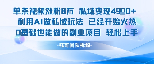 单条视频私域变现4.9k+利用AI做私域玩法 已经开始火热0基础也能做的副业项目轻松上手网赚项目-副业赚钱-互联网创业-资源整合南风学院