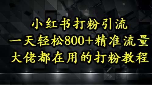 小红书打粉引流，一天轻松500+精准流量，大佬都在用的打粉教程网赚项目-副业赚钱-互联网创业-资源整合南风学院
