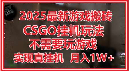 2025最新游戏搬砖，CSGO挂G，不需要玩游戏，实现真挂G，月入1W+【揭秘】网赚项目-副业赚钱-互联网创业-资源整合南风学院