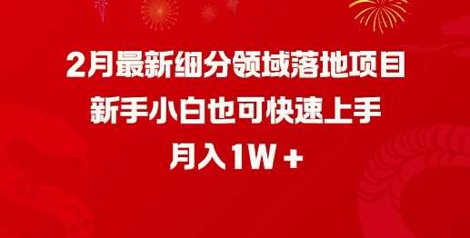2月最新细分领域落地项目，新手小白也可快速上手，月入1W网赚项目-副业赚钱-互联网创业-资源整合南风学院