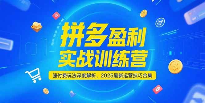 （15183期）拼多多盈利实战训练营，强付费玩法深度解析，2025最新运营技巧合集网赚项目-副业赚钱-互联网创业-资源整合南风学院