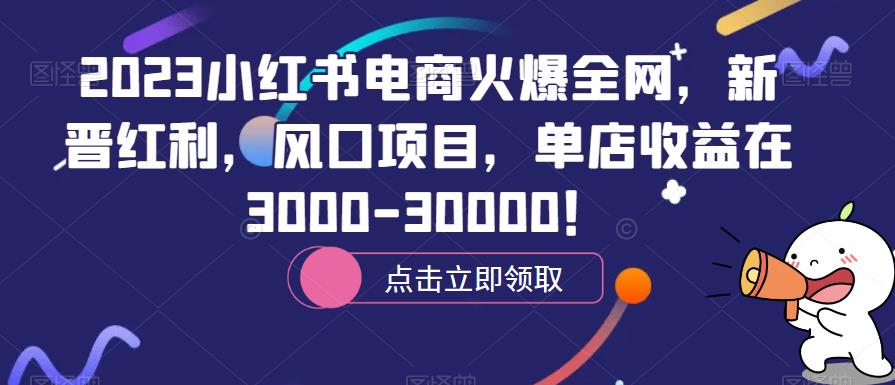2023小红书电商火爆全网，新晋红利，风口项目，单店收益在3000-30000！网赚项目-副业赚钱-互联网创业-资源整合南风学院