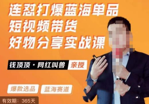 网红叫兽·连怼打爆蓝海单品，短视频带货好物分享实战课网赚项目-副业赚钱-互联网创业-资源整合南风学院