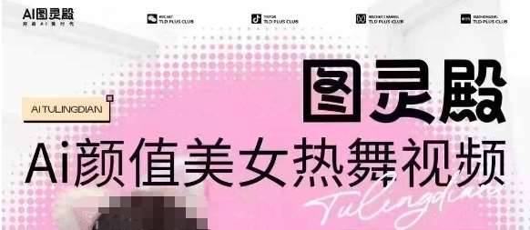 全网首发，原价988图灵殿AI颜值美女热舞视频，云端生图，轻松过原创网赚项目-副业赚钱-互联网创业-资源整合南风学院