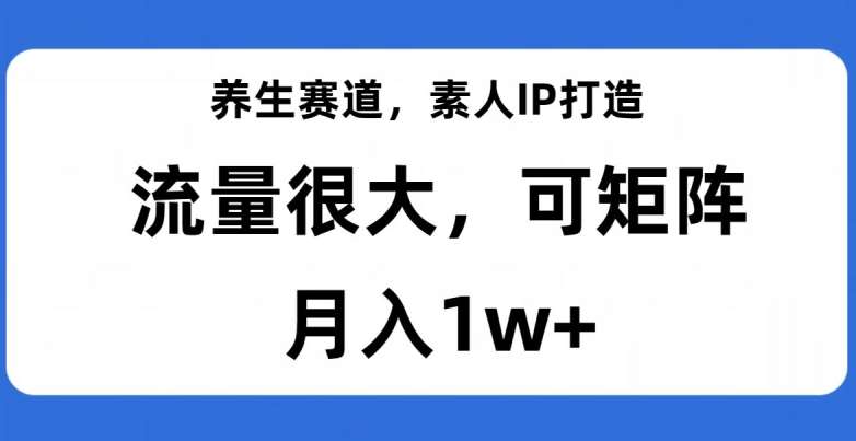 养生赛道，素人IP打造，流量很大，可矩阵，月入1w+【揭秘】网赚项目-副业赚钱-互联网创业-资源整合南风学院