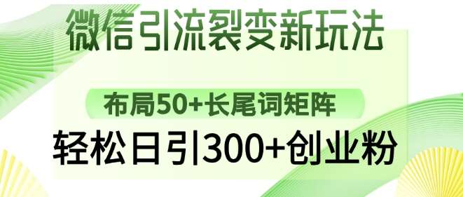 微信引流裂变新玩法：布局50+长尾词矩阵，轻松日引300+创业粉网赚项目-副业赚钱-互联网创业-资源整合南风学院