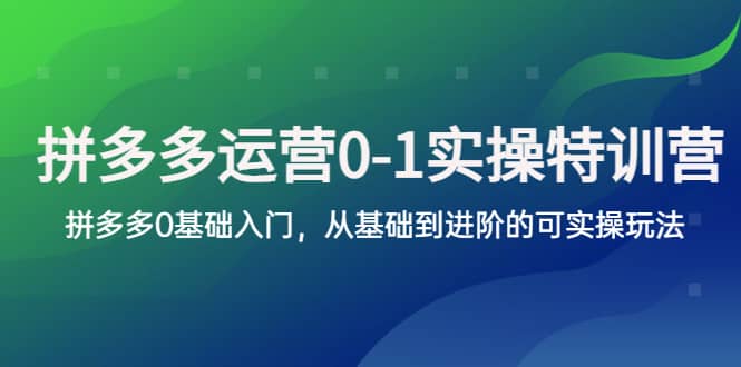 拼多多-运营0-1实操训练营，拼多多0基础入门，从基础到进阶的可实操玩法网赚项目-副业赚钱-互联网创业-资源整合南风学院