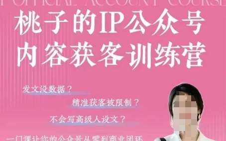 桃子IP公众号内容获客训练营(第3期)，一门让你公众号从0到商业闭环的课程网赚项目-副业赚钱-互联网创业-资源整合南风学院