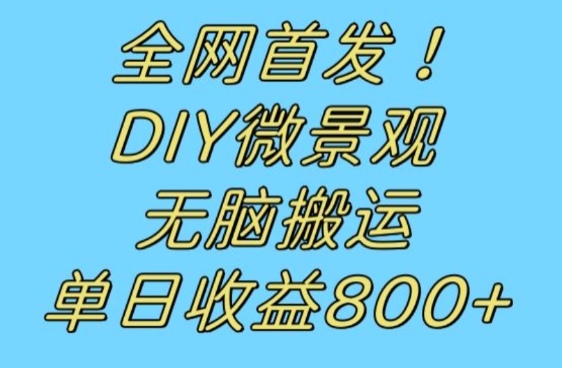 全网首发冷门赛道！DIY微景观，无脑搬运视频，日收益800+【揭秘】网赚项目-副业赚钱-互联网创业-资源整合南风学院
