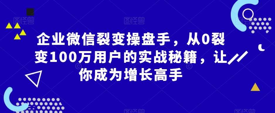 企业微信裂变操盘手，从0裂变100万用户的实战秘籍，让你成为增长高手网赚项目-副业赚钱-互联网创业-资源整合南风学院