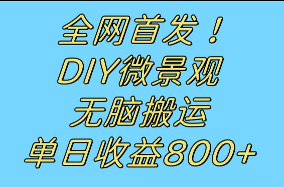 全网首发冷门赛道！DIY微景观，无脑搬运视频，日收益800+网赚项目-副业赚钱-互联网创业-资源整合南风学院